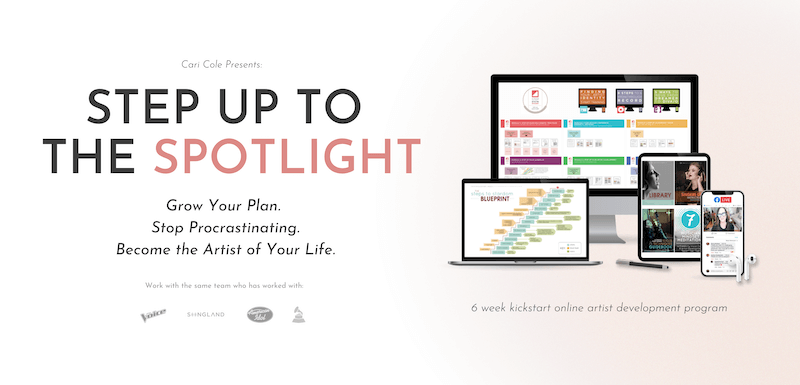 Step Up Free Artist Development Program